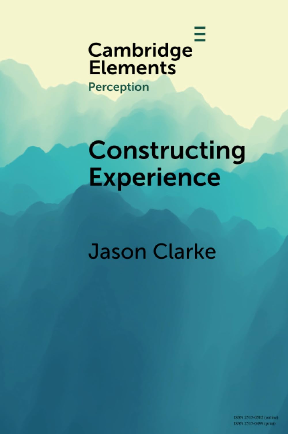 Constructing Experience by Jason Clarke PAPERBACK 9781009588553