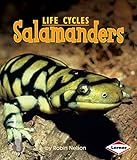 Salamanders (First Step Nonfiction _ Animal Life Cycles)