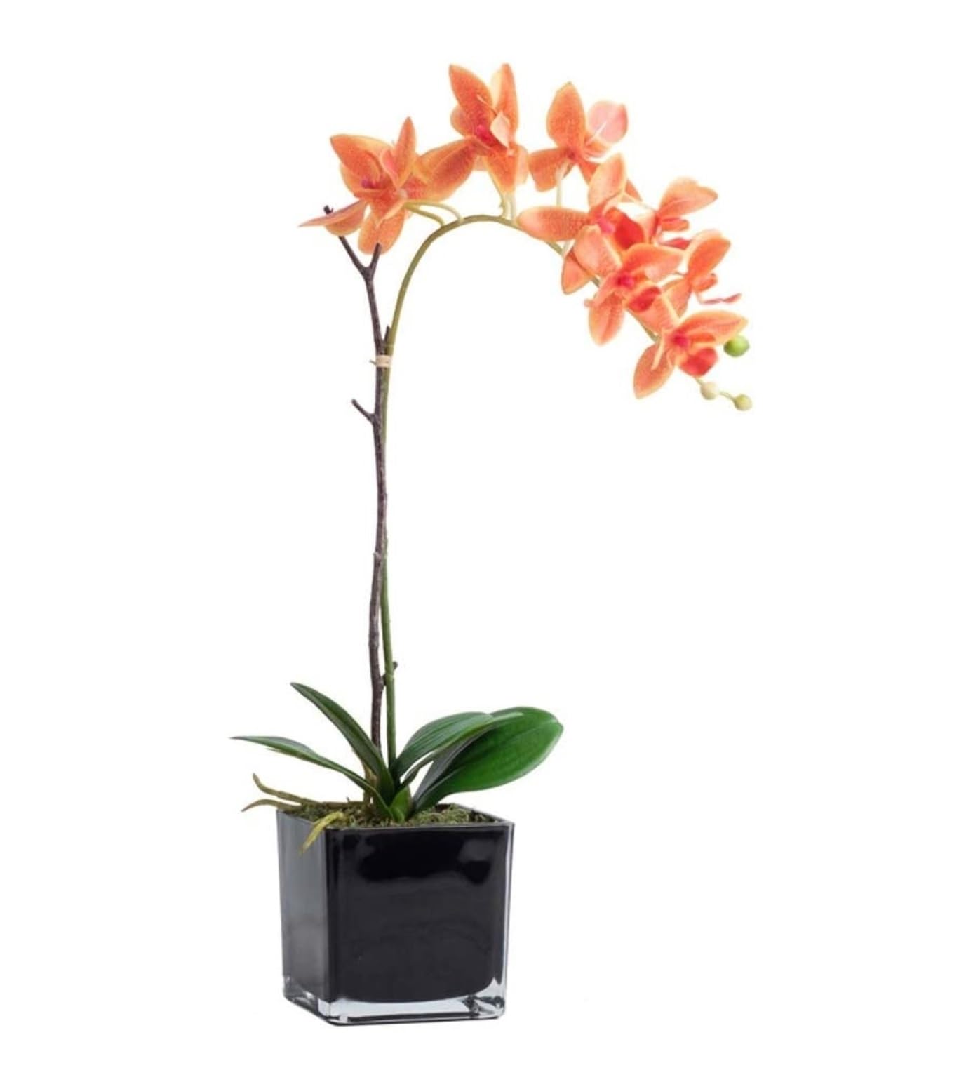Ensemble de fleurs artificielles orchidée pour décorer buffet