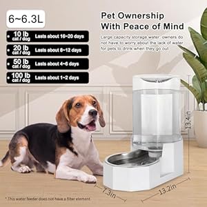 Rizzari automatic 6 3l gravity pet water dispenser with stainless steel bowls 100 bpa freesafe and large capacity suitable for small and medium sized cats and dogs 6 3l without filter   cucciolini doodles