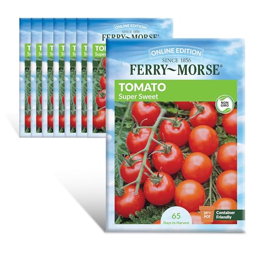 Image of Ferry-Morse Online Edition Tomato Supersweet 100 Hybrid Seeds - High Germination Rate, GMO Free - 8 Pack