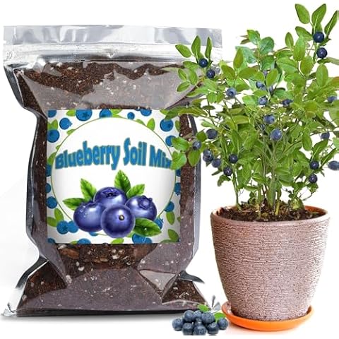 Organic Blueberry Soil Mix for Indoor Plants Cover