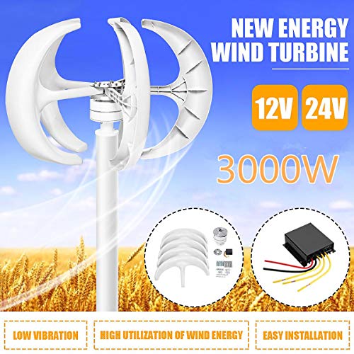 SHIJING 3000W Vertical Axis Wind Turbines Generator Lantern 12V 24V 5 Blades Motor Kit For Home Hybrid Streetlight Use Electromagnetic,12v