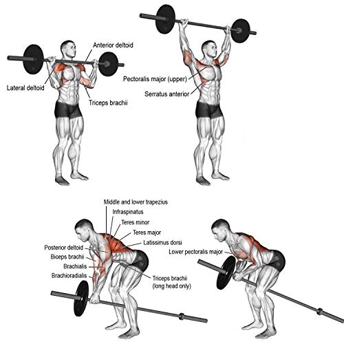 Image of Bullar Weight Lifting Rod, Gym Bar, Chrome Plated Steel Gym Rod,Rods Combo With 4 Feet Straight Rod & 5 Feet Straight Rod (4Ft,5Ft, 19MM)