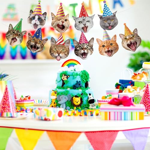 Image of Hooqict Cat Birthday Banner Birthday Party Decorations for Backdrop Cat Happy Birthday Banner Garland Sign for Girls Boys Kids 1st 2nd 3rd Party Supplies Hanging Decor