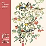 Fitzwilliam Museum: Audubon Birds Wall Calendar 2026 (Art Calendar)