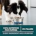 Purina ONE Plus Large Breed Puppy Food Dry Formula - 31.1 lb....