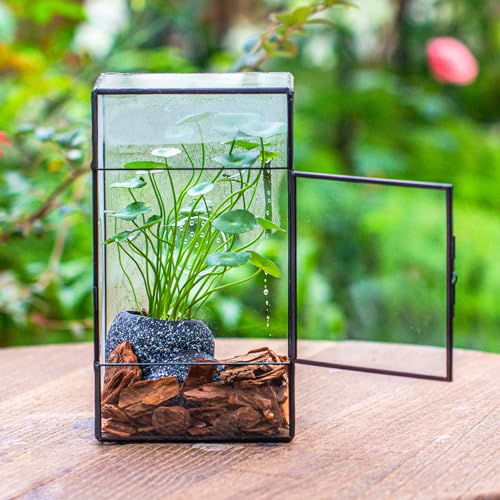 NCYP Rechteckiges Glas Terrarium mit Seitentür und DREI Belüftungslöchern handgefertigt, 13x10x23cm Schwarzes geometrisches Terraium für kleine Insekten Haus Garten Dekoration (nur Terrarium)