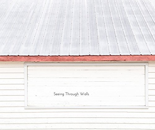 Seeing Through Walls