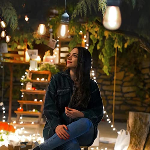 Tayire S14 Replacement Led Light Bulbs, 2W Plastic Shatterproof & Waterproof Led Bulbs For Outdoor String Light, 2700K Warm White, Clear Lightbulbs For Patio Garden Pergola Porch Decor, 16 Pack #TOP3