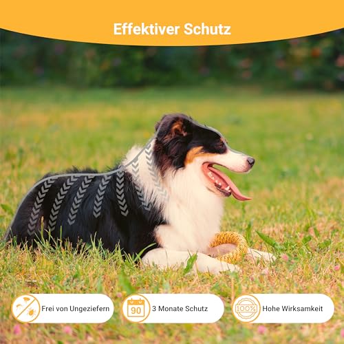 Animal Vita® Spot On Zeckenschutz für Hunde [zuverlässiger Zeckenschutz] Zeckenmittel für Hunde -Zeckenschutz Hund - Spot On für große Hunde (20 bis 30kg)