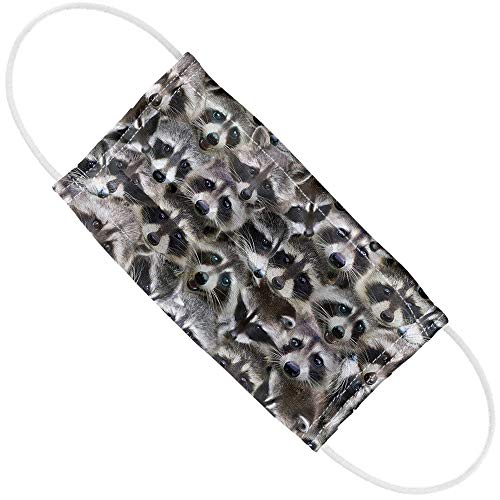 Racoons 1-Ply Reusable Face Mask Covering, Unisex