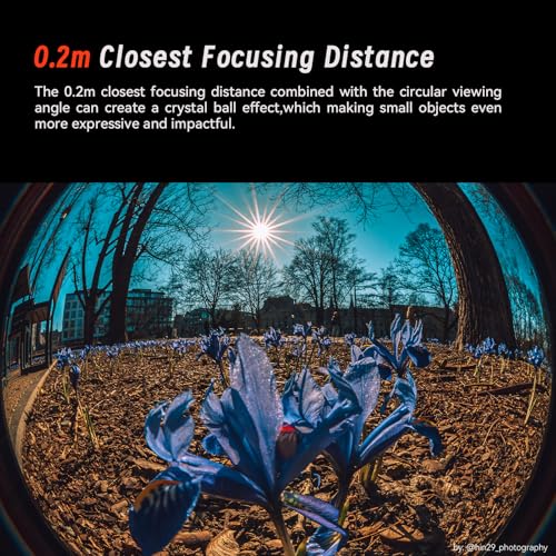 6.5mm F2.0 APS-C Fisheye Objektiv für Sony E, Manueller Fokus 192° Ultraweitwinkel Objektiv Kompatibel mit Sony E Mount Spiegellosen Kameras A5000 A5100 A6000 A6100 A6300 A6400 A6500 – Bild 6