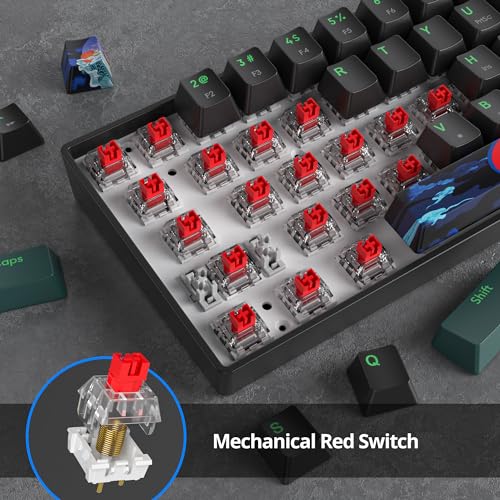Image of 60 Percent Gaming Keyboard 61 Keys Mechanical Keyboard Rainbow Backlit Ultra Compact Wird Keyboard with Red Switches for Win Ps4 /5 Xbox(61 Green)