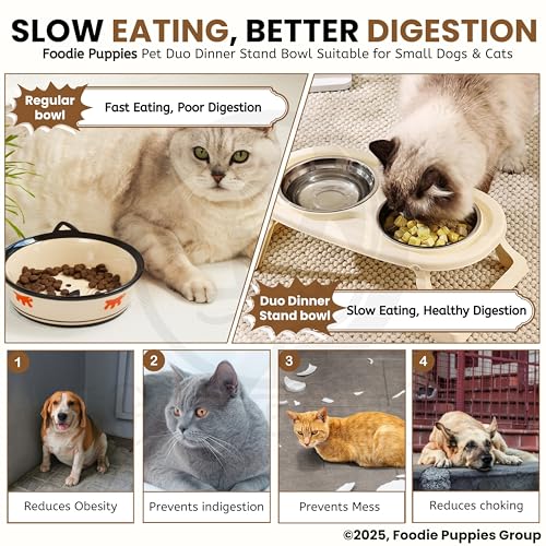 Image of Foodie Puppies Pet Duo Dinner Stand Bowl - (Beige) | Stainless Steel Foldable Stand Bowl for Food & Water | Suitable for Cats, Puppies and Small Dogs | Elevated Feeding Station for Healthy Digestion