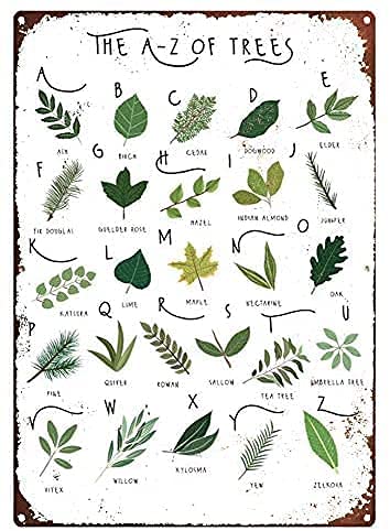 Tin Sign Vintage A-Z of Trees, Alphabet Print, Tree Identification Metal Sign, British Flora Print, Tree Gift, Tree Print, Types of Trees Tin Sign Vintage 8 * 12 Inch