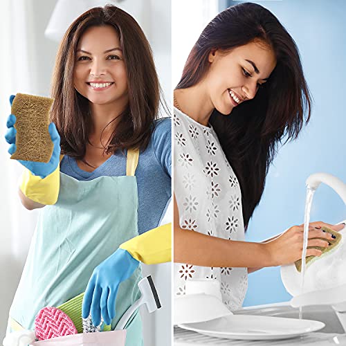 Airnex Biodegradable Natural Kitchen Sponge - Compostable Cellulose And Coconut Walnut Scrubber Sponge - Pack Of 12 Eco Friendly Sponges For Dishes #TOP4