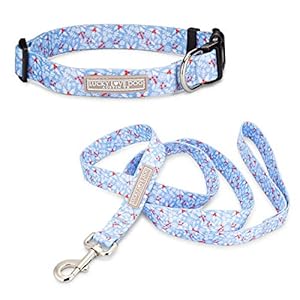 Lucky Love Dog Dog Collar, Leash Set Small, Medium, Large, Premium, Cute and Adjustable Collars for Male and Female Dogs, Winterblue Combo, Small Lucky Love Dog Dog Collar Leash Set Small Medium Large Premium Cute and Adjustable Collars for Male and Female Dogs Winterblue Combo Small