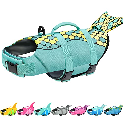 Best Dog Life Jacket All About Rivers