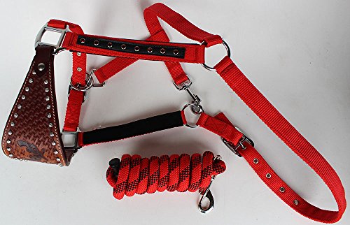 ProRider Horse Noseband Tack Bronc Leather Halter Tiedown Lead Rope 280627