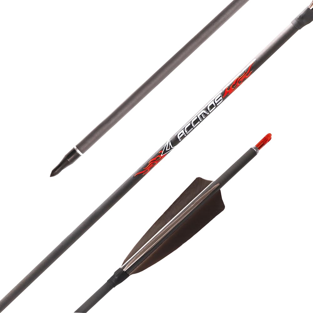 12 Piezas Plumas Marrones Flechas Spine 200 250 300 350 400 500 600 700 800 ID 6,2 mm Flecha de Caza, Pluma de Pavo de 4 Pulgadas, para Tiro con Arco