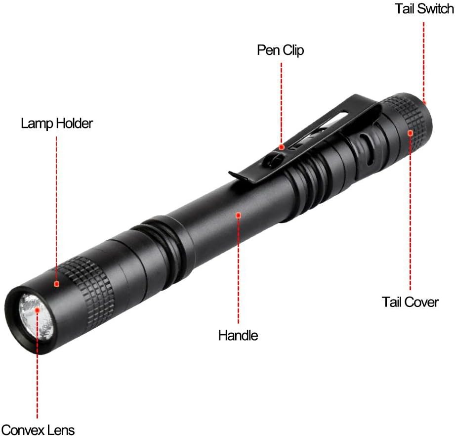 Flashlight 10PCS Light Medical Penlight Photo