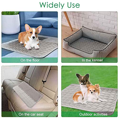 Tapis de refroidissement chien lavable en machine soie glacée