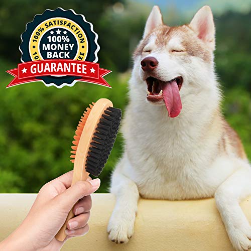 crbn Short Hair Dog Brush - Pet Brushing Comb for Short Hair Coats – Detangling and Shedding Coat Hair Remover - Thumbnail 2