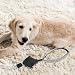 Garneck Automatische Hundeleine - 1.4m Einziehbare Leine Für Kleine Und Große Hunde - Strapazierfähig Und Komfortabel Mit Gepolstertem Griff Ideal Für Hundetraining Und