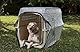 AnimoConcept Becolsolutions An2012 Cover Becoolsolutionen wirken 70% auf Hund aus