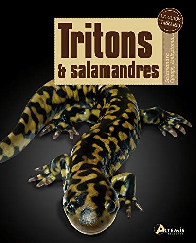 TRITONS ET SALAMANDRES TRITONS ET SALAMANDRES