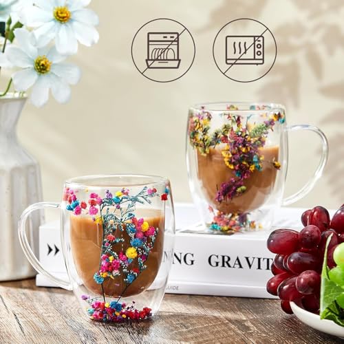 Image of Double Wall Glass Coffee Mugs - Glass Double Layer Tea & Coffee Cup Double Walled Glass Mugs for hot & Cold Drinks Coffee Tea Milk cappuchino Juice (350ML Mug, 2 Pieces) (MCV-3)