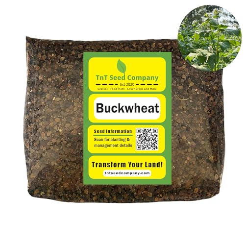TnT Seed Company Buckwheat Seeds for Planting - 5 lb Bag - Food Plot Seed - Garden Cover Crop - Fast Growing Annual for Soil Health - Pollinator Friendly