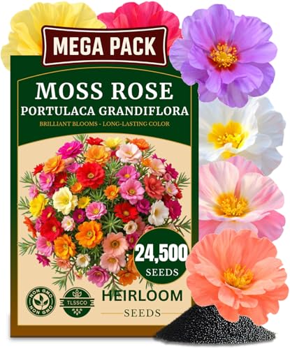 TLSSCO 24500+ Moss Rose Seeds Pack for 2026 USA Premium Non-GMO Flower Seeds Annual Flower for Ground Cover - Heat & Drought Tolerant Moss-Rose Purslane Eleven Oclock