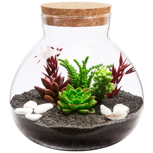 Happyyami Round Glass Jar Terrarium with Cork Lid