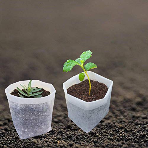 Belit 50 Pcs Non-Woven Plant Nursery Bags, Seedling Pots Container for Vegetable, Flower, Plant Grow ( 9.1