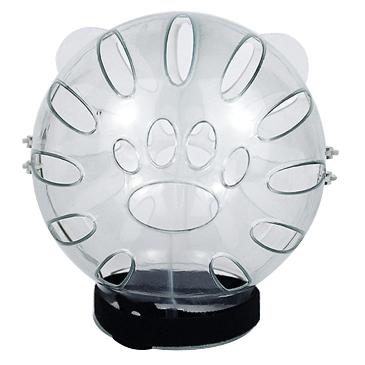 3piezas De para Gatos y Transparente Protección contra Mordeduras para y Cuidado Capucha para