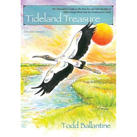 Tideland Treasure: The Naturalist's Guide to the Beaches and Salt Marshes of Hilton Head Island and the Atlantic Coast Cover