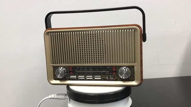 Amazon.com: Retro AM/FM Radio with Speaker and TF/USB
