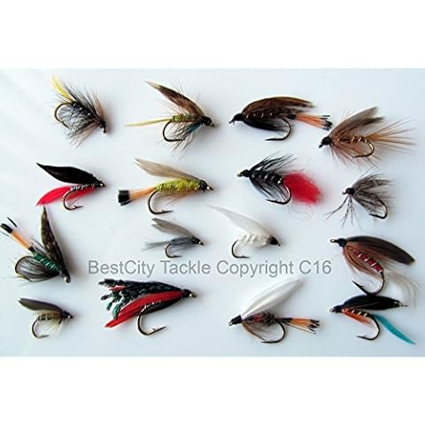BestCity Classic Trout Wet Flies Pack #5 Cover