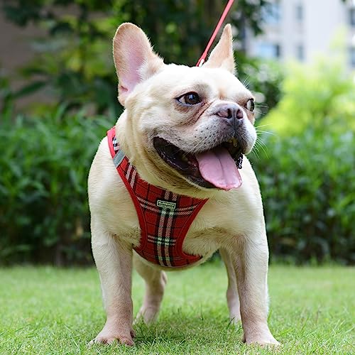 Suredoo Hundegeschirr Kleine Hunde mit Leine, Anti Zug Geschirr Reflektierend Atmungsaktiv Brustgeschirr, Welpengeschirr für Kleine Hunde (Rot Kariert, M, Brust: 34-39cm)