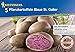 Produktbild Profi-Line Pflanzkartoffeln, Blaue St. Galler, Inhalt: 5 Stück
