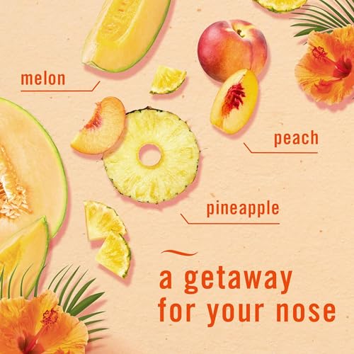 Image of Febreze Air Freshener and Odor Fighter Spray, Hawaiian Aloha Scent, 8.8 Oz (Pack of 6)