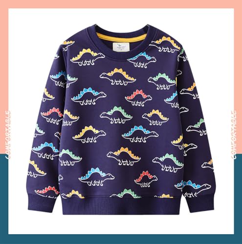 Boys Sweatshirts Casual Sweatshirts Cotton Sweatshirts Long Sleeve T-shirts Crew Neck Cartoon Tops for Boys-6663