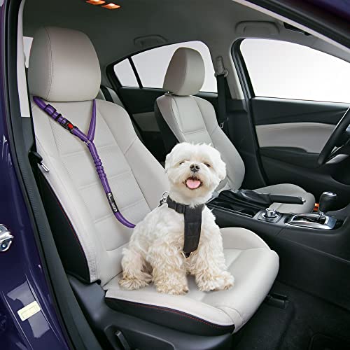 Dog Seat Belt Harness For Car - 2-In-1 Leash And Restraint Secures To Headrest. Adjustable Bungee, Strong, Durable, 360 Degree Swivel Attach Won't Twist, Reflective, Easy To Use (Purple, 1Pack) #TOP1