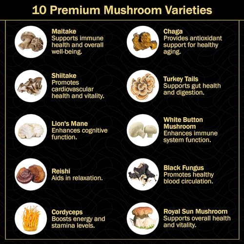 Amate Life Mushroom Gummies for Adults | 10 Mushroom Complex with Lions Mane Reishi Chaga & Cordyceps Mushroom | Brain, Immune & Energy Support | Raspberry Flavor - Image 4