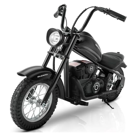 ELEMARA Electric Dirt Bike, 15 mph & 150lb Max, 24V Ride on Toy for Big Kids w/LED Lights & Power Display, Chain-Driven Motor, Twist-Grip Throttle, Shock Springs, Handbrake, 12" Air-Filled Tires-Black