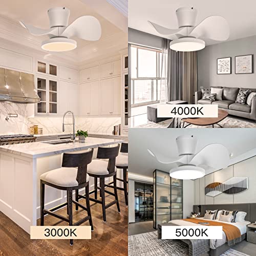 ocioc Quiet Ceiling Fan with LED Light 22 inch Large Air Volume Remote Control for Kitchen Bedroom Dining Room Patio by ocioc - Image 8