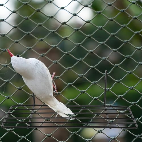 Image of Balacoo 2 Pcs Iron Bird Perch Stand for Parrots: Black Metal Grid Birdcage Rack, Bird Perch for Parakeets, Cockatiels, Lovebirds - 9.84 X 5.90 X 5.51 Inch