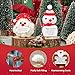 Verdenu Advent Calendar 2025, 24-Days Handmade Positive Crochet Animals Blind Box, Emotional Support Crochet Toys with Cards, Daily Surprise Christmas Countdown Gifts for Adults/Girls/Teens